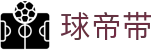 球帝带官网 - 专业足球资讯、数据分析与球迷社区